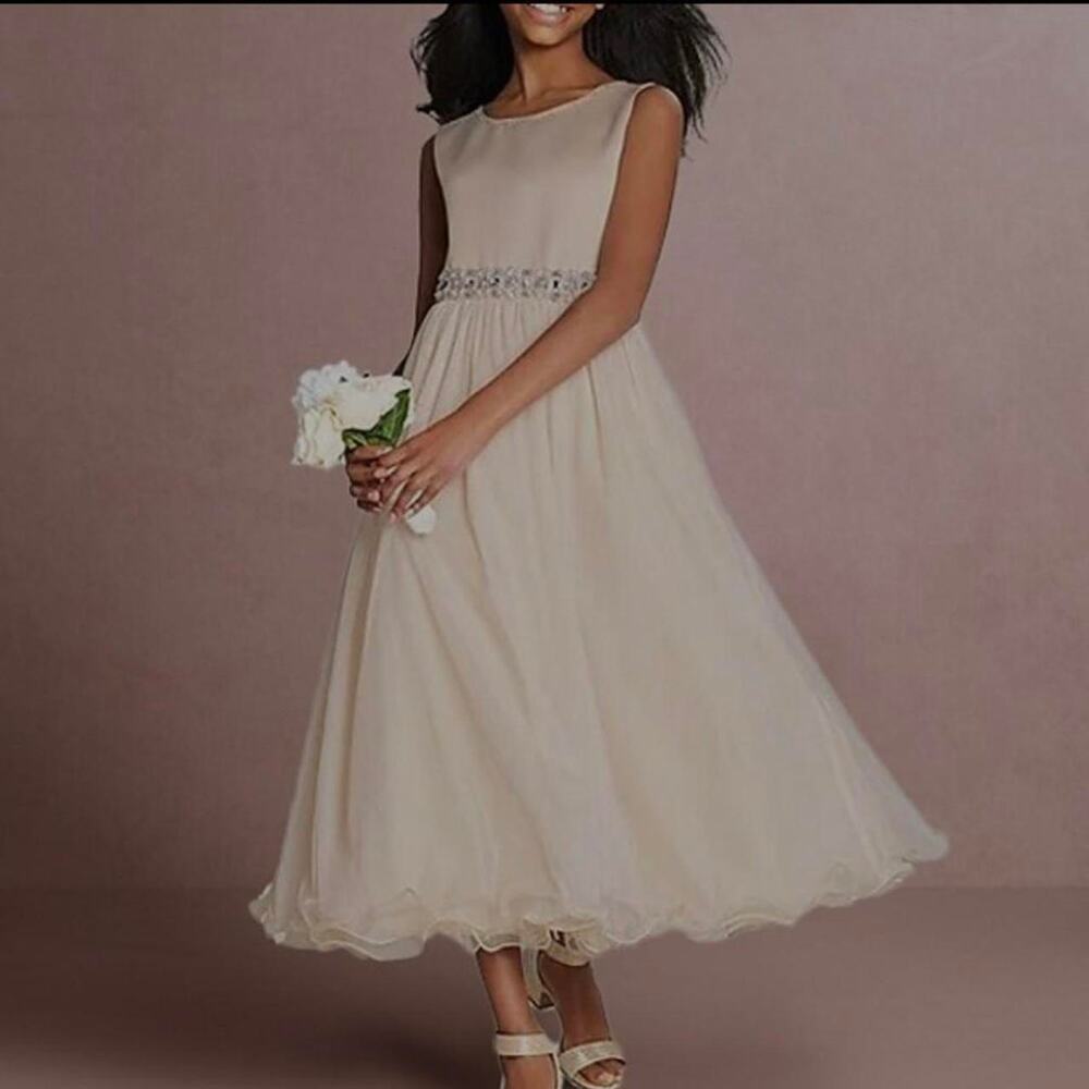 Pink formal dress gown with